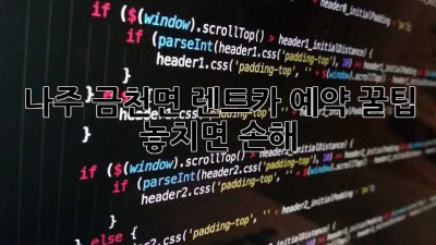 나주 금천면 렌트카 예약 꿀팁! 놓치면 손해🤫