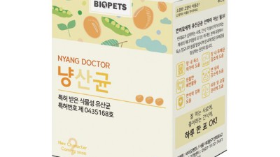 냥이 장 건강 지킴이! 고양이유산균연구소직영펫프로22 솔직 후기